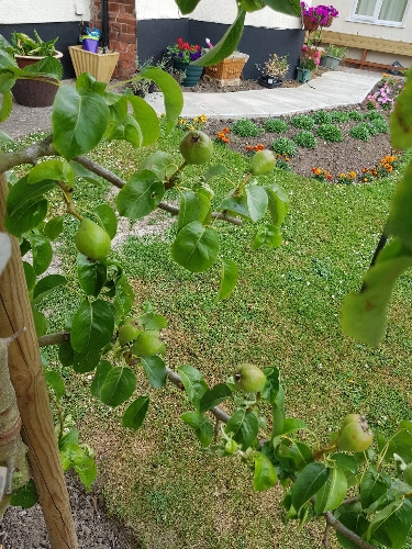 Westfield Care & Nursing Home